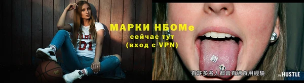 PSILOCYBIN Новозыбков