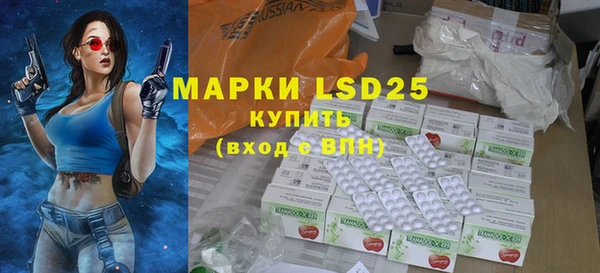 PSILOCYBIN Новозыбков