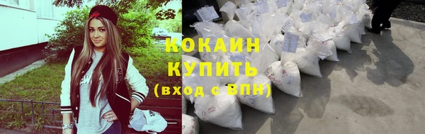 PSILOCYBIN Новозыбков